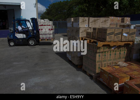 (140801) -- SANTO DOMINGO, Aug. 1, 2014 (Xinhua) -- An employee of the Customs General Direction (DGA, for its acronym in Spanish), carries seized liquor boxes, in Santo Domingo, Dominican Republic, on July 31, 2013. The DGA destroyed on Thursday 2000 boxes of whisky and alcoholic beverages, seized when being entered by contraband on national territory. The 2000 boxes, equivalent to 16,723.13 liters of different types of alcoholic beverages, with an approximate value of 11,793,331.76 dominican pesos, informed the engineer Fernando Fernandez, head of the DGA. (Xinhua/Roberto Guzman) (lyi) Stock Photo