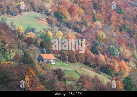 alone house in autumn mountain Stock Photo