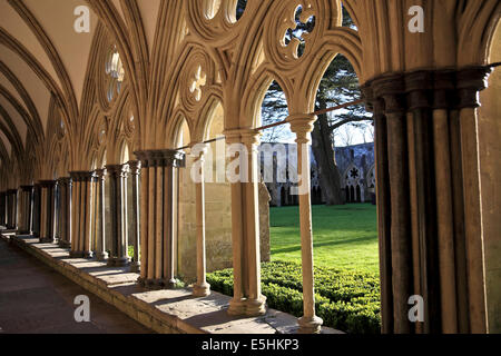 9633. The Cathedral Cloisters, Salisbury, Wiltshire Stock Photo