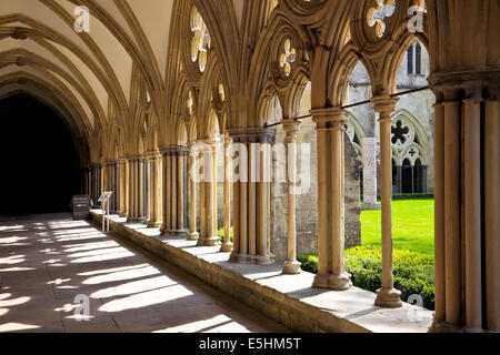 9635. The Cathedral Cloisters, Salisbury, Wiltshire Stock Photo