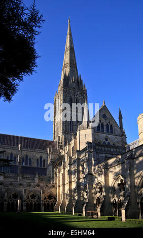 9636. The Cathedral from the Cloisters, Salisbury, Wiltshire Stock Photo