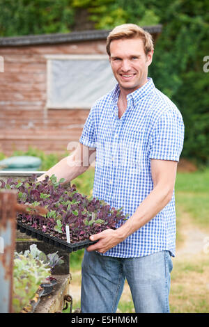 Farmer Planting Seedlings On Organic Farm Stock Photo