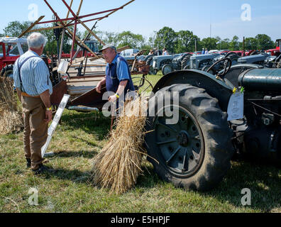 'Worstead Festival' in the county of Norfolk, UK Stock Photo