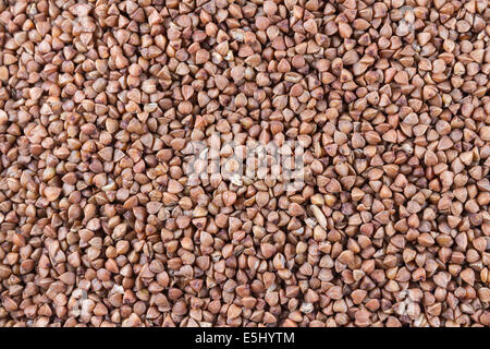 Close up of Buckwheat or Grechka in Russian. Stock Photo