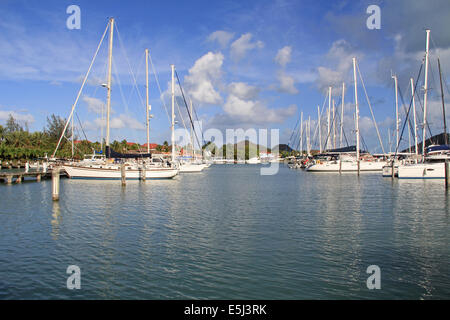 Boats Docked at Jolly Harbour Marina in Antigua Barbuda with plenty of copy space. Stock Photo