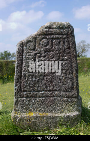 King Doniert's Stone, a richly carved piece of a 9th century 'Celtic' cross, near St Cleer, Cornwall, UK. Stock Photo