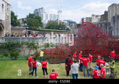 Poppies at the Tower of London to commemorate those who lost their lives in the First World War. Stock Photo
