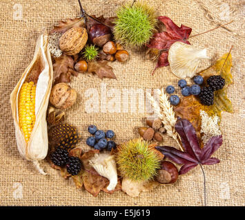 Circular composite of autumn fruits leaves and nuts on jute Stock Photo