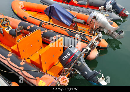 A line of Inflatable dinghies in Mallaig yachting marina, Mallaig, Scotland, UK Stock Photo