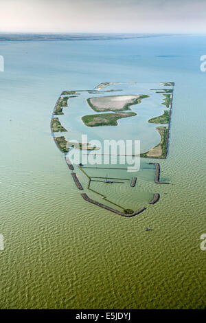 Netherlands, Andijk, Artificial island called De Kreupel, Dutch Forestry Commission. Aerial Stock Photo
