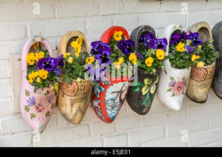 Netherlands, Marken, Violets in wooden clogs as decoration Stock Photo