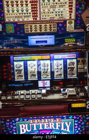 Netherlands, Rotterdam, Casino on cruise ship MS Rotterdam. Slot machine Stock Photo