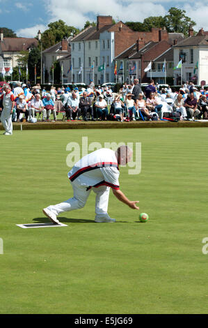 Victoria Park, Leamington Spa, Warwickshire, UK. 02nd Aug, 2014. The 2014 Bowls England National Championships and National Competition Finals for both men and women are being held over a period of 28 days between the 2nd and 31st August. A bowler from the Hampshire county team bowls in the final of the Middleton Cup against Norfolk. Credit:  Colin Underhill/Alamy Live News Stock Photo