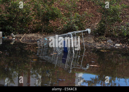 Abandoned shopping trolley dumped in a river Stock Photo