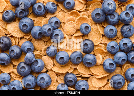 Food: multigrain muesli and blueberries close-up shot, healthy food background Stock Photo