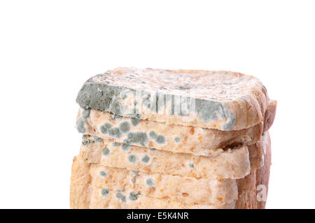 moldy toast bread isolated on white Stock Photo