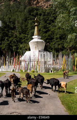 Eastern Bhutan, Lhuentse Valley Autsho, white Tibetan style brick built chorten Stock Photo