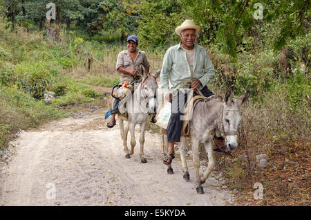 Peasants riding donkeys, near Jalcomulco, Veracruz, Mexico Stock Photo