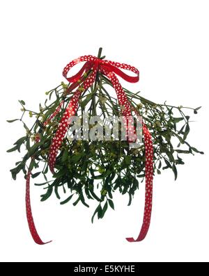 mistletoe's bunch with red ribbon on white background Stock Photo - Alamy