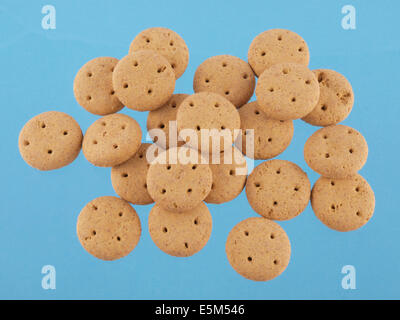 Close up of round dog biscuits on a blue background Stock Photo