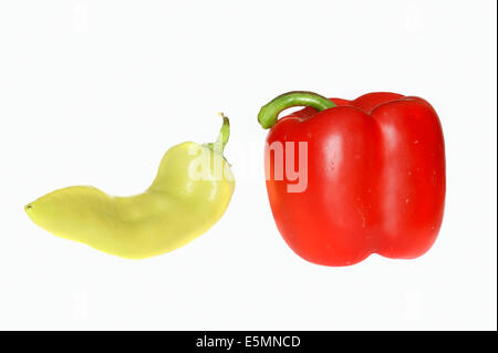 Red and green Pepper fruits (Capsicum annuum) Stock Photo