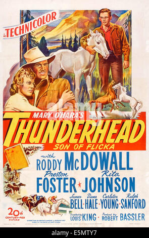 THUNDERHEAD, SON OF FLICKA, US poster art, from left: Rita Johnson, Preston Foster, Roddy McDowall, 1945. TM and Copyright © Stock Photo