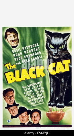 THE BLACK CAT, from top left: Bela Lugosi, Basil Rathbone, Hugh Herbert, Broderick Crawford, Gale Sondergaard, 1941. Stock Photo