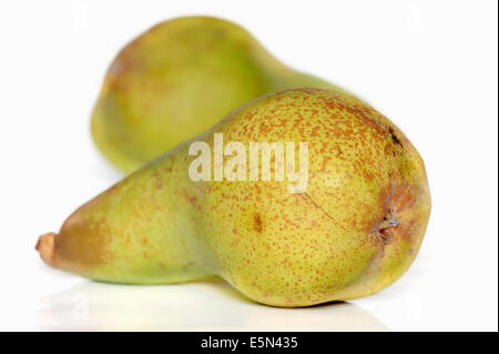 Pear William Christ (Pyrus communis) Stock Photo