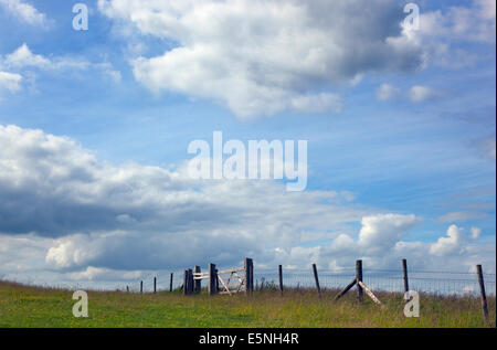 Gate and sky Chiltern Downland Ivinghoe Hills Bucks UK June Stock Photo