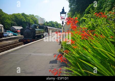 Bodmin General station on the Bodmin and Wenford Railway, Cornwall, UK Stock Photo