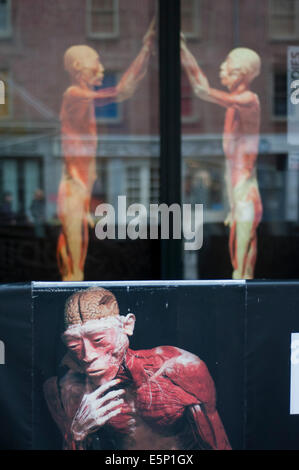 Bodies… The Exhibition in Manhattan New York. Stock Photo
