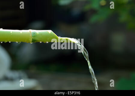 cane made ​​from wood natural fountain Stock Photo