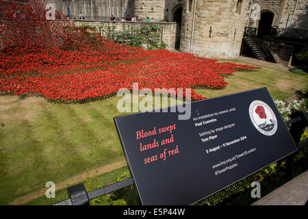 London, UK. 4th Aug, 2014. Marking the centenary of the the beginning of the First World War (WW1) in 1914, ceramic poppies created by artist Paul Cummins, recreate a river of blood emergng from a corner of the Tower of London. Remaining in place until the date of the armistice on November 11th. Across the world, remembrance ceremonies for this historic conflict that affected world nations, London saw many such gestures to remember the millions killed in action at the beginning of the 20th century. Credit:  Richard Baker / Alamy Live News. Stock Photo