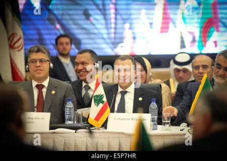 Tehran, Iran. 4th Aug, 2014. Lebanese Foreign Minister Gebran Bassil (C, front) attends an emergency meeting of Palestine Committee of the Non-Aligned Movement (NAM) in Tehran, Iran, on Aug. 4, 2014. The NAM's one-day emergency meeting opened here on Monday. Credit:  Ahmad Halabisaz/Xinhua/Alamy Live News Stock Photo