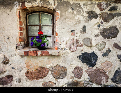 Flowers on the window of ancient building stone wall. Stock Photo