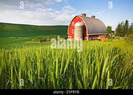 A farm in the remote Palouse Empire region,  a farming and wheat growing region of rolling hills and wide skies in eastern Washington. Stock Photo