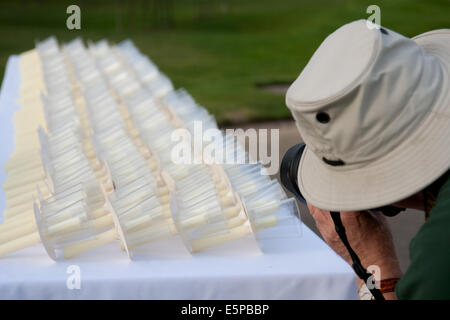 Alrewas, Staffordshire, UK. 4th Aug, 2014. A photographer records the candles that will be lit for the candlelit vigil at the National Memorial Arboretum, Alrewas, Staffordshire to mark the centenary of the start of  WW1, the Great War to honour fallen ones.  Photo taken on 4th August 2014 on the centenary of the start of World War One. Credit:  Richard Franklin/Alamy Live News Stock Photo