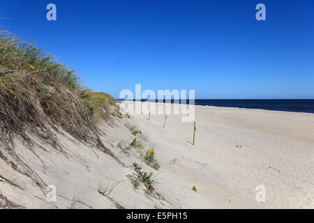 Nauset Light Beach, Cape Cod National Seashore, Orleans, Cape Cod, Massachusetts, New England, United States of America Stock Photo