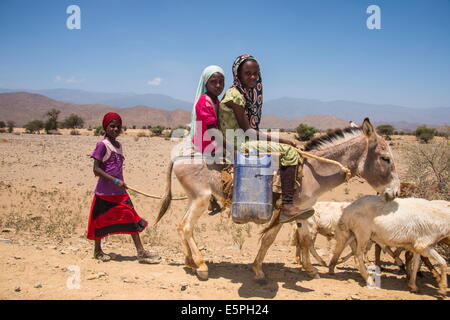 Children riding on a donkey to a waterhole in the lowlands of Eritrea, Africa Stock Photo