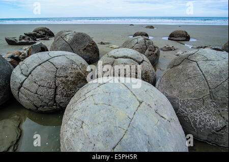 Moeraki Boulders, Koekohe Beach, South Island, New Zealand, Pacific Stock Photo