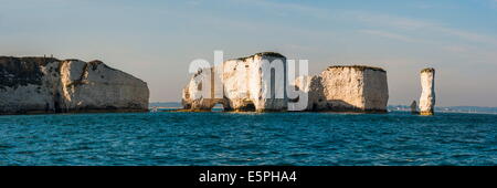 Chalk stacks and cliffs at Old Harry Rocks, between Swanage and Purbeck, Dorset, Jurassic Coast, UNESCO Site, England, UK Stock Photo