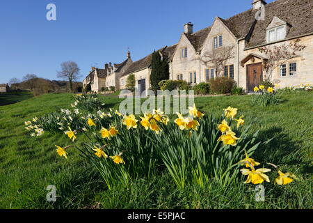 Cotswold cottages with Spring Daffodils, Little Barrington, Cotswolds, Gloucestershire, England, United Kingdom, Europe Stock Photo