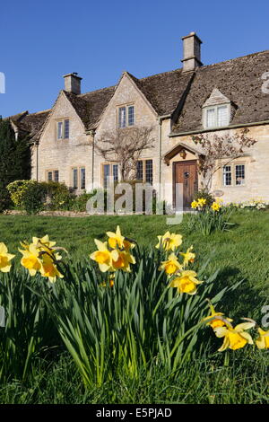 Cotswold cottages with Spring Daffodils, Little Barrington, Cotswolds, Gloucestershire, England, United Kingdom, Europe Stock Photo