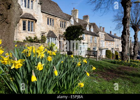 Cotswold cottages along The Hill with spring daffodils, Burford, Cotswolds, Oxfordshire, England, United Kingdom, Europe Stock Photo