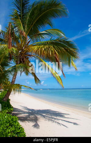 Palm trees and a white sand beach near the Lux Le Morne Hotel, on the Le Morne Brabant Peninsula, Mauritius, Indian Ocean Stock Photo