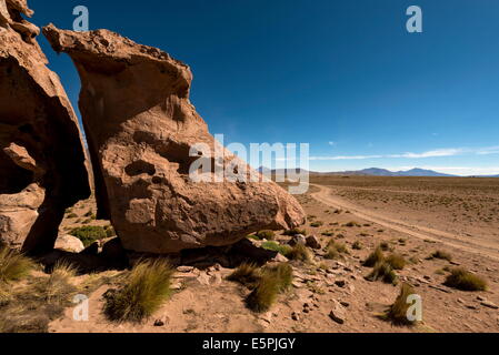 Southern Altiplano, Bolivia, South America Stock Photo