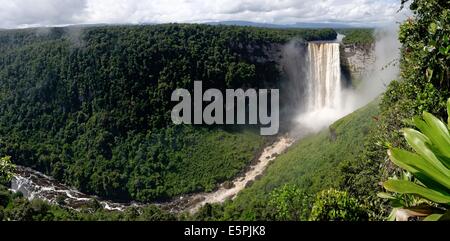 Panoramic view of Kaieteur Falls, Guyana, South America Stock Photo