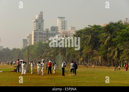 Cricket nets on the Oval Maidan green space, Mumbai, India, Asia Stock Photo