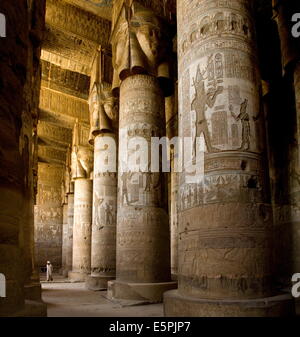 The Outer Hypostyle Hall in the Temple of Hathor, Dendera necropolis, Qena, Nile Valley, Egypt, North Africa, Africa Stock Photo