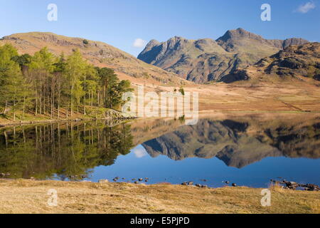 The Langdale Pikes reflected in Blea Tarn, above Little Langdale, Lake District National Park, Cumbria, England, United Kingdom Stock Photo